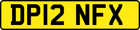 DP12NFX