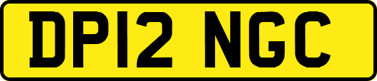 DP12NGC