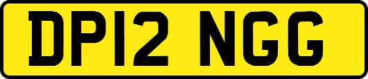 DP12NGG