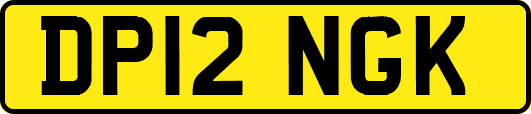 DP12NGK