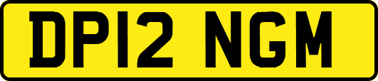 DP12NGM