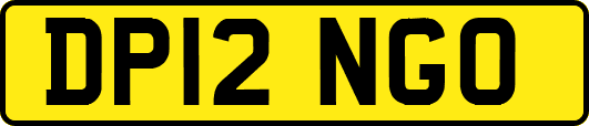 DP12NGO