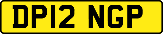 DP12NGP