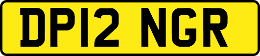 DP12NGR