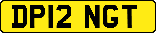 DP12NGT