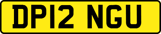 DP12NGU