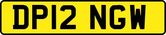 DP12NGW