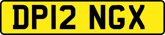 DP12NGX