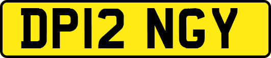 DP12NGY