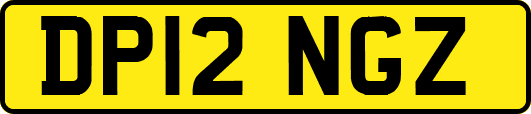 DP12NGZ