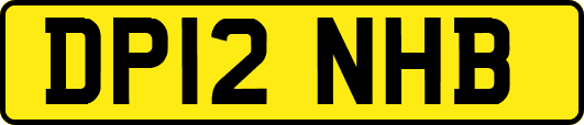 DP12NHB