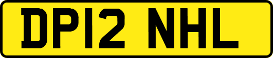 DP12NHL