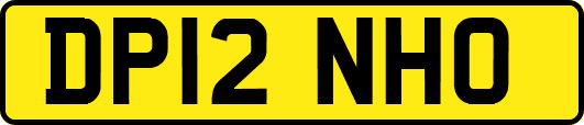 DP12NHO