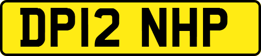 DP12NHP