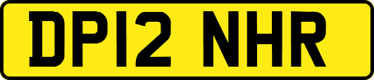 DP12NHR