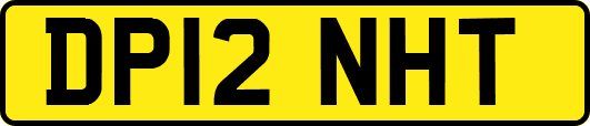 DP12NHT