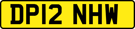 DP12NHW