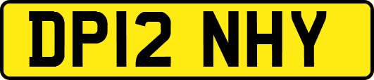 DP12NHY