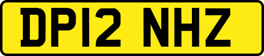 DP12NHZ