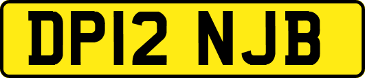 DP12NJB