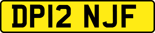 DP12NJF