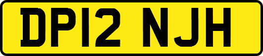 DP12NJH