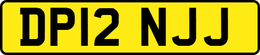 DP12NJJ