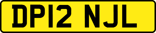 DP12NJL