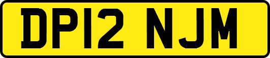 DP12NJM