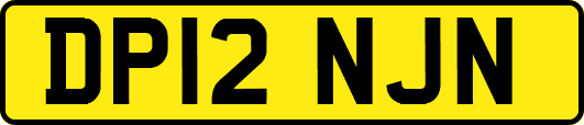 DP12NJN