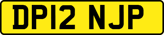 DP12NJP