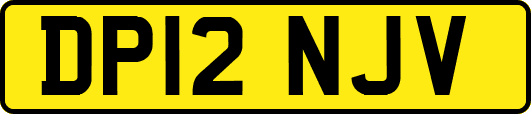 DP12NJV