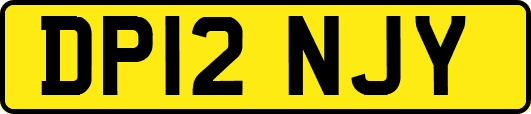 DP12NJY
