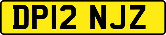 DP12NJZ