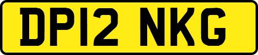 DP12NKG
