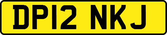 DP12NKJ