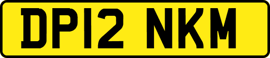 DP12NKM
