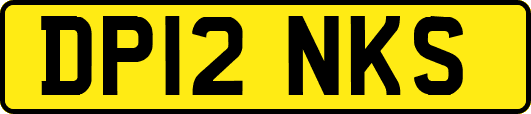 DP12NKS