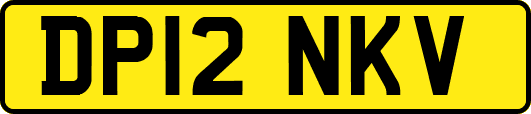 DP12NKV