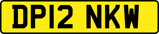 DP12NKW