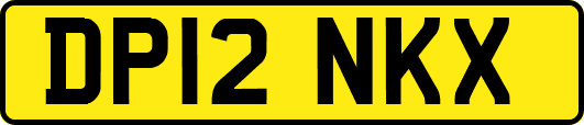 DP12NKX