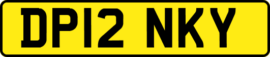 DP12NKY