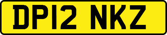 DP12NKZ