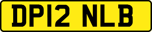DP12NLB
