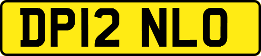 DP12NLO