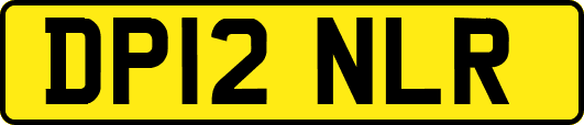 DP12NLR