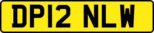 DP12NLW
