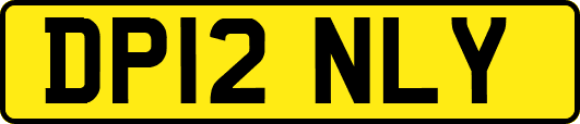 DP12NLY