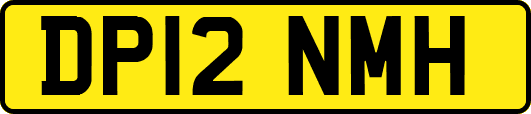 DP12NMH