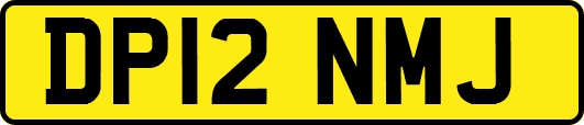 DP12NMJ